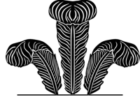 TROVASI_LOGOPLUMAS